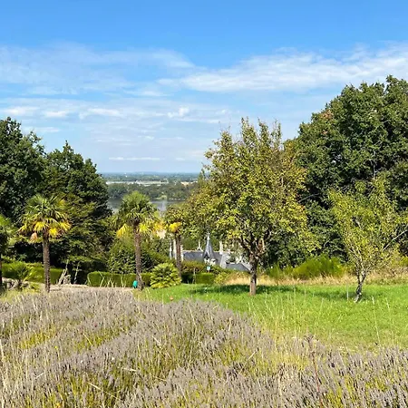 Joli 2 Pieces - Dependance - Vue Loire