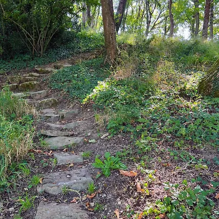 Joli 2 Pieces - Dependance - Vue Loire *